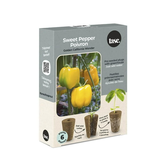 TASC Seed Plugs- Sweet Pepper (6/PKG)