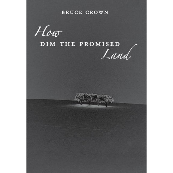 How Dim the Promised Land, (Hardcover)