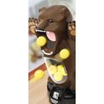 thumbnail image 3 of Feed the Bear Target Game, 3 of 6
