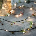 thumbnail image 3 of Guirnalda de luces navideñas JanHm 6,56 pies 20 LED ratán de frutas, 3 of 4