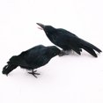 thumbnail image 5 of Black Feathered Crows Realistic Raven Handmade Artificial Birds Halloween Prop Decor Spooky Party Home Garden Decoration, 5 of 6