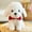 White, variant on CSSAD 2025 New 8-inch Simulating Puppies with Black Bow, Pet Dog Plush Doll Yellow Teddy Dog, Children's Birthdays Holiday Gift Boys and Girls Toys