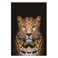 thumbnail image 1 of Amazing Rugs LPC-99993 48 x 32 in. Oppidan Home Spotted Léopard Acrylique Wall Art, 1 of 1