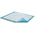 thumbnail image 2 of Attends Care Dri-Sorb Disposable Underpad Heavy Absorbency Cellulose / Polymer 23 x 24" UFS-230 200 pads, 2 of 3