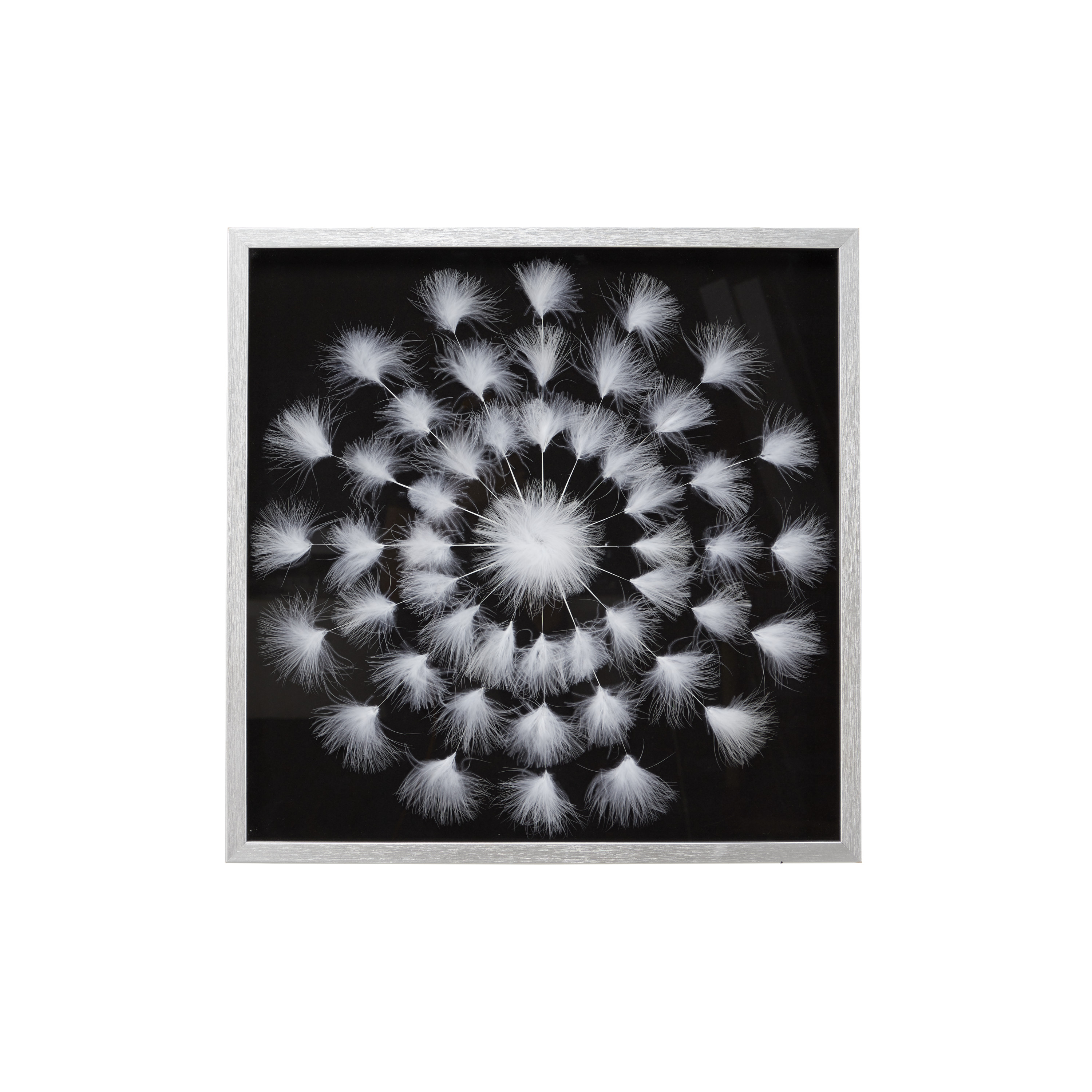 DecMode Polystone Natural White Feather Wall Décor Shadow Box, 24"W x 24"H