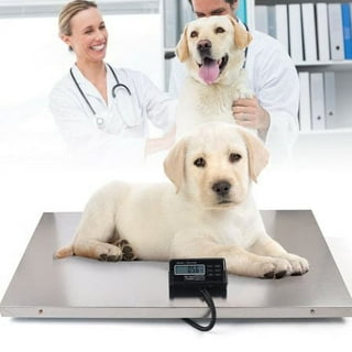 Digital Pet Weighing Scale, Non-slip Plastic Digital Pet Weight Measuring  Scale For Pet Dogs Cats, /44lbs (battery Not Included) - Temu