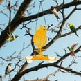 thumbnail image 5 of Eqslft Hanging Oriole Bird Feeder with Clear PP Bowl, Perch, and Attachment Prongs for Clementines, Mandarins, and Oranges Outdoor Decor for Garden Backyard Patio and Deck, 5 of 7