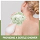 thumbnail image 4 of Tiela Loofá 2 en 1 baño Exfoliación de esponja de esponja Bola de ducha de depuración para limpieza de carrocería Scrub de piel lisa, 4 of 8