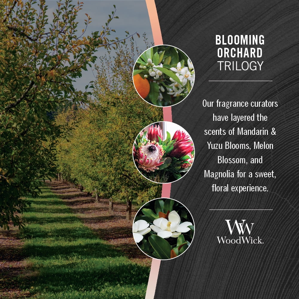 Blooming Orchard Trilogy WoodWick® Large Hourglass Trilogy Candle - Large  Hourglass Candles