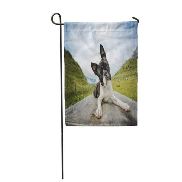 NUDECOR Green Dog Hiking with Boston Terrier in The Austrian Alps Summer Landscape Wande Garden Flag Decorative Flag House Banner 28x40 inch