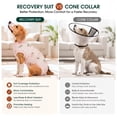 thumbnail image 4 of Kuoser Dog Surgical Recovery Suit Dog Cat Onesie after Surgery,Peach,XL, 4 of 9