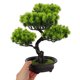 thumbnail image 4 of unbranded Árbol Pino Artificial En Maceta Para Decorar Interior Con Textura Y Resistencia Duradera, 4 of 5