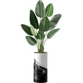 thumbnail image 4 of Artificial Tree in Contemporary Planter, Fake Bird of Paradise Silk Tree for Indoor and Outdoor Home Decoration - 67" Overall Tall (Plant Pot Plus Tree), 4 of 5