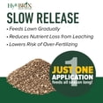 thumbnail image 3 of HyR BRIX 10-0-0 HyR Finish Fertilizer, 45lb Bag - Slow-Release Granular with Calcium & Sulfur - for Late Summer & Fall Lawn Prep - Covers 4,500 Square Feet, 3 of 6