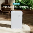 thumbnail image 6 of EDX 10 Pint Small Dehumidifier, Silent Mini Dehumidifier, Portable Dehumidifier,for Bathroom, Room, RV House, White, 6 of 10