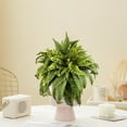 thumbnail image 6 of Artificial Persian Grass Plant Set - 47cm Silk Fern Leaves Bouquet for Indoor Outdoor Home Decor, UV Resistant Faux Greenery, 6 of 9