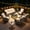 Beige, variant on ODELIO 8-Piece Wicker Patio Furniture Set, PE Rattan Outdoor Conversation Set with Swivel Rocking Chairs & Solar LED Coffee Table, Patio Sectional Seating for Backyard, Beige