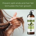 thumbnail image 4 of Acondicionador orgánico Laritelle 16 oz | Prunella Bio Sésamo Linaza Karité + Queratina + Biotina + Crecimiento Renovador del Cabello Romero Geranio Mirto Ravintsara Manzanilla y Hoja de Laurel | novi, 4 of 5