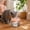 Pink, variant on Quiet Automatic Cat Water Fountain Pet Drinking Dispenser Large Capacity Circulating Waterer for Cats Dogs Indoor