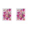 thumbnail image 2 of Kearding Flores secas naturales, decoración Floral, flores en relieve, suministros domésticos preservados para postales, álbumes de recortes, Rosado 2Conjunto, 2 of 6