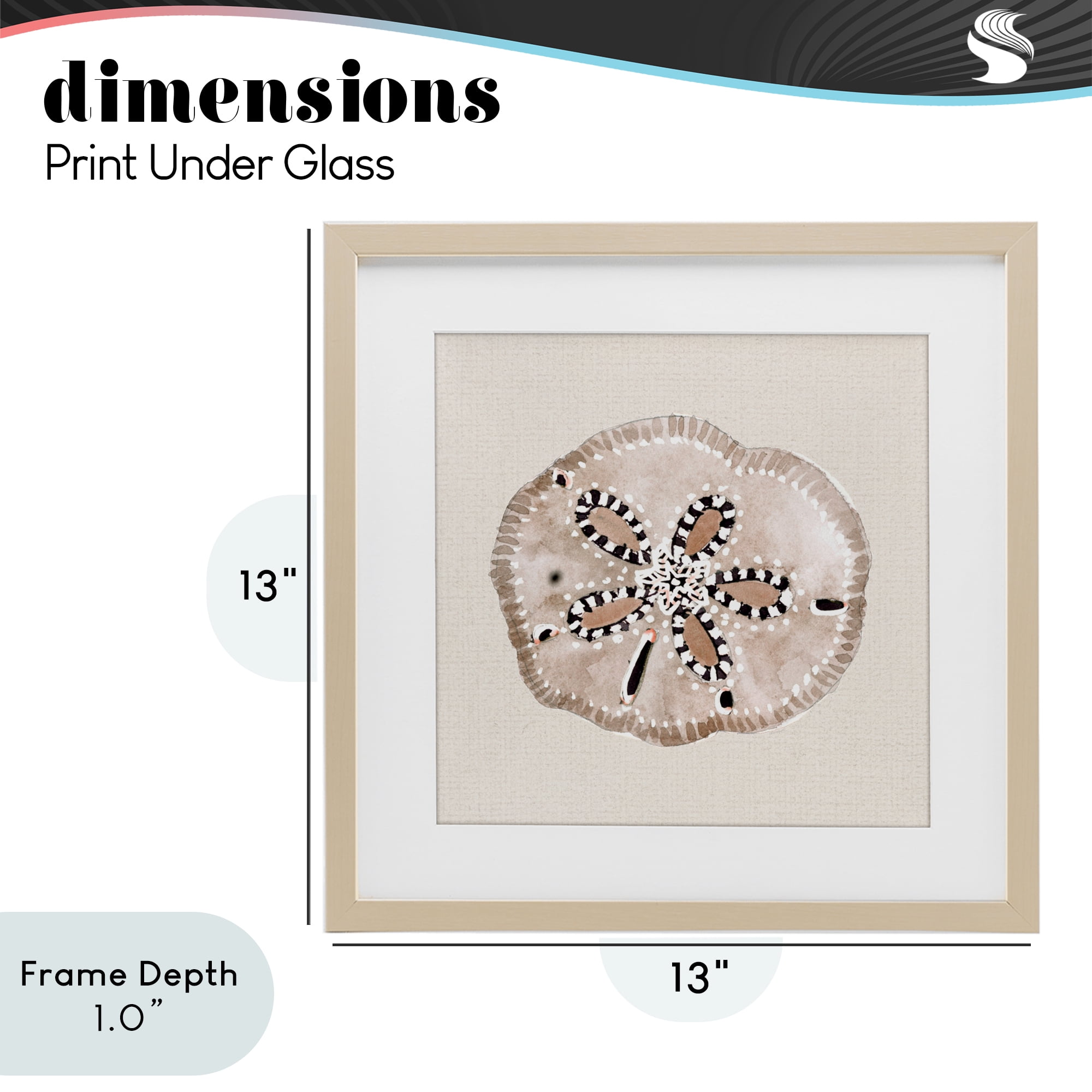 Stupell Industries Taupe & Beige Sand Dollar Birch Framed Print Under Glass, design by Lanie Loreth