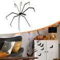 thumbnail image 6 of Miulika Halloween Decorations Giant Spider Huge Spider,Realistic,Lightweight,Collectible,Realistic Animal Toy for Yard Indoor Outdoor, 6 of 9