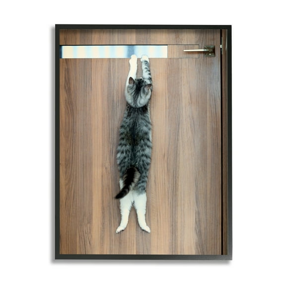 Stupell Industries Desperate Cat Escaping Animals & Insects Photography Black Framed Art Print Wall Art, 11 x 14