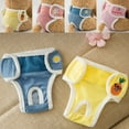 thumbnail image 3 of Joernso Pet Sanitary Panties Fruit Flower Embroidery Pattern Leakproof Breathable Pet Dog Diapers Pants Dog Accessories, 3 of 8
