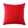 thumbnail image 2 of Outdoor Square Cushion 18in - Aqua (2 Pack), 2 of 5