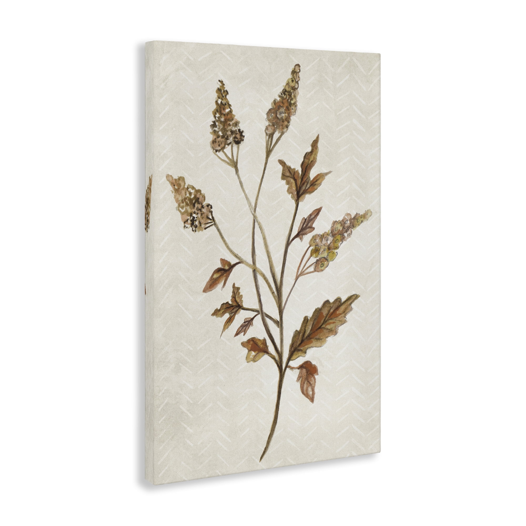 Stupell Industries Neutral Garden Botanics Botanical & Floral Painting Gallery Wrapped Canvas Art Print Wall Art, 24 x 36