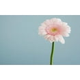 thumbnail image 3 of Crystal Windchimes Ornament Lighting Ball Home Hanging Pendant Decor (E), 3 of 3