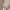 Khaki, variant on Womens T Shirts Long Sleeve Crew Neck Solid Color Shirts Basic Tee Tops Blouse