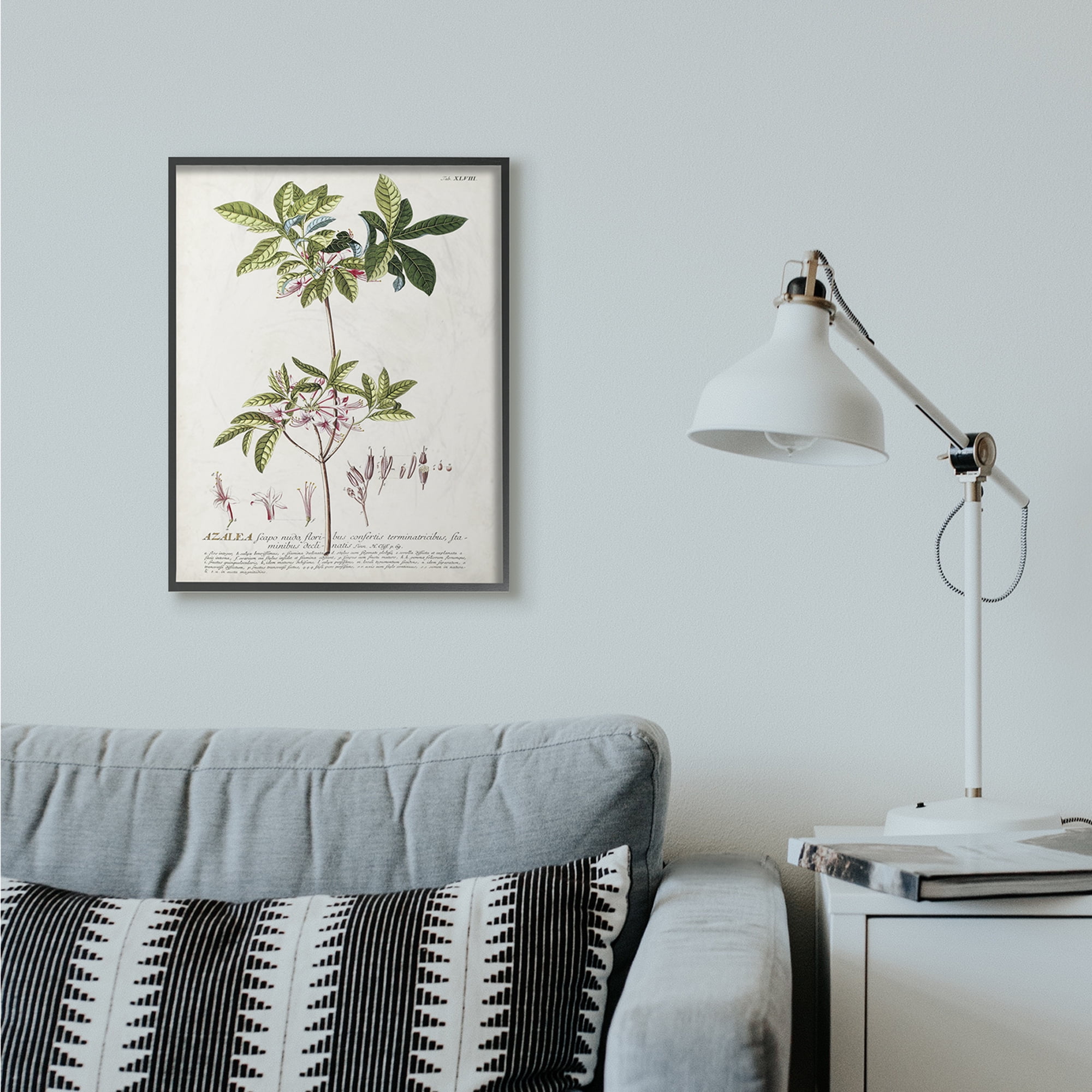 Stupell Industries Botanical Plant Illustration Pink Flowers Vintage Design Framed Wall Art by Unknown