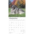 thumbnail image 4 of Keeshonden | 2025 12x24" (Hanging) Square Wall Calendar | BrownTrout, 4 of 9