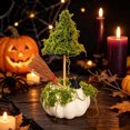 thumbnail image 3 of Xuyuer Halloween Witch Hat and Pumpkin Decor, 7 Inch Mini Fake Pumpkin Ornament for Dining Table Cabinet Holiday Party Display, 3 of 4