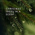 thumbnail image 2 of Thymes Frasier Fir Brume Parfumée pour la Maison 3 Oz, 2 of 6