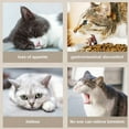 thumbnail image 3 of RKSTN Cat Pillows Cat Toy Pillow, 3 of 5