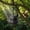 Black, variant on Funny Big Head Squirrel Feeder for Outdoor Garden Yard, Hanging Animal Face Bird and Wildlife Feeder with Large Capacity for Nuts, Seeds and Corn, Whimsical Backyard Patio Decor for Nature Lovers