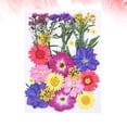 thumbnail image 3 of Juego de 30 flores secas hechas a mano, material de flores mixtas, muestras de plantas de flores para el hogar., 3 of 7
