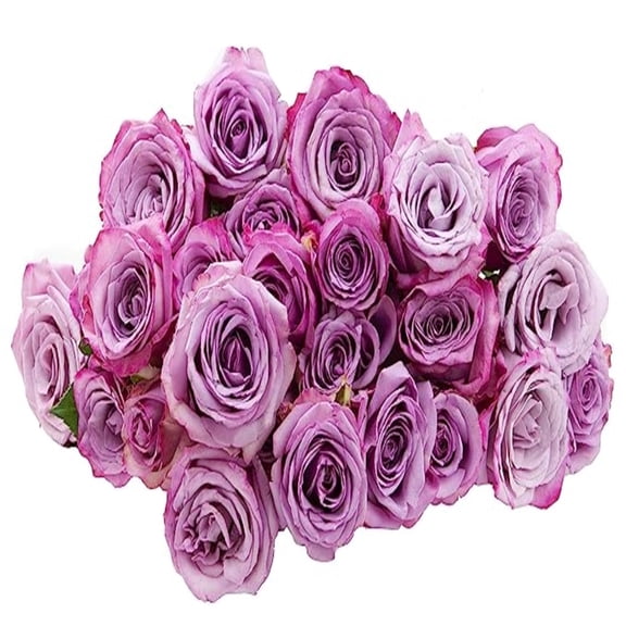 KaBloom :24 Lavender Roses, 3 Greens, Next-Day Delivery, Gift for Every Occasion.