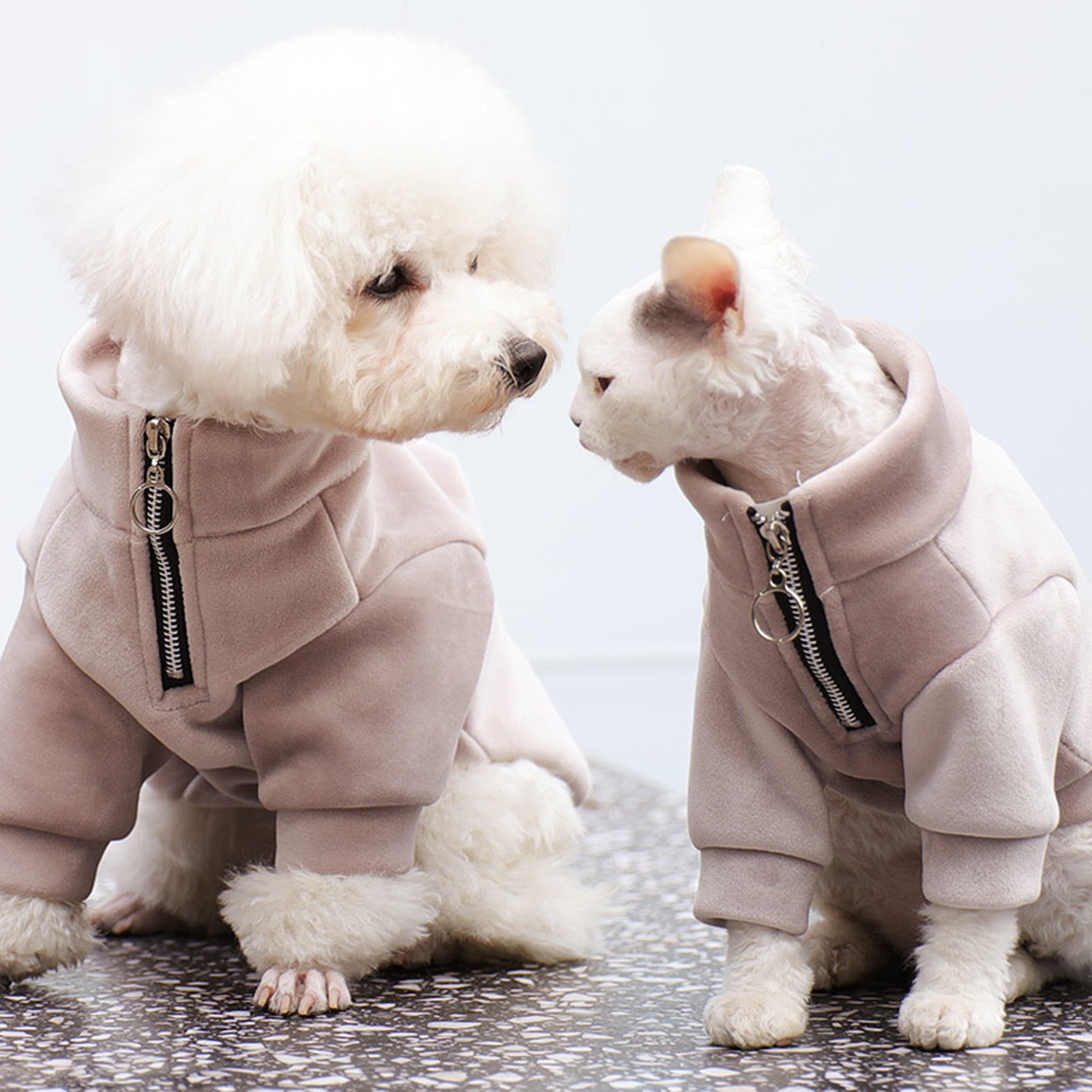 clothes for tiny puppies