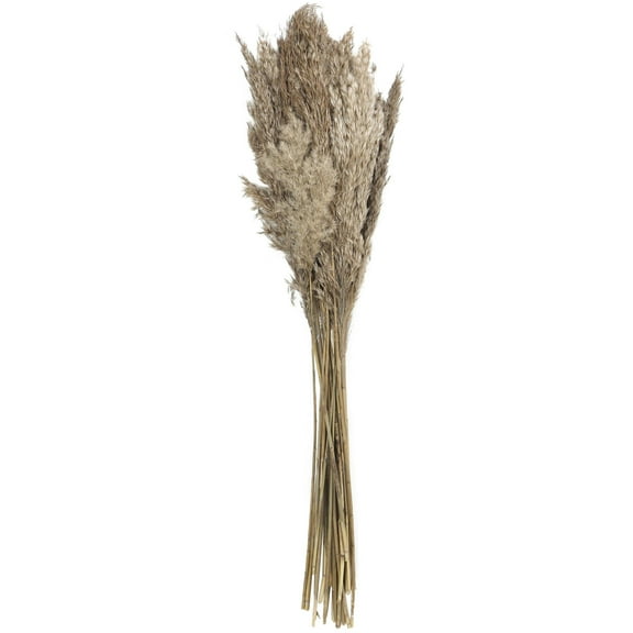35" Grass Dried Plant Natural Foliage Pampas Bouquet with Long Stems, by DecMode