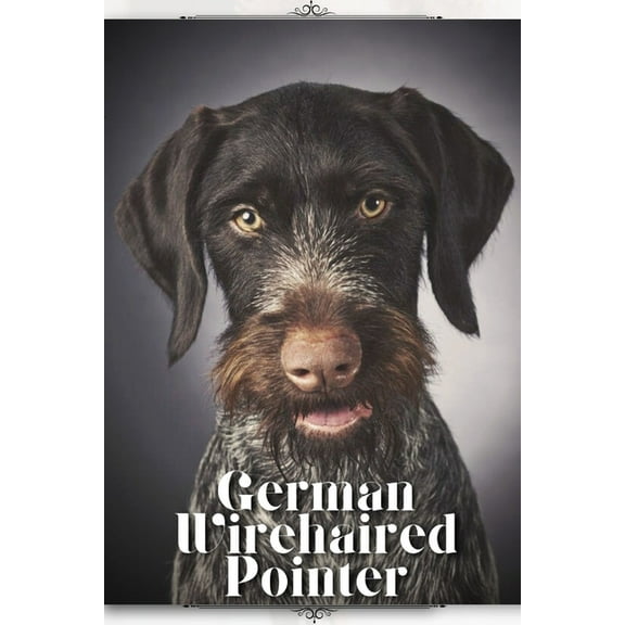 German Wirehaired Pointer: Dog breed overview and guide (Paperback) by Nina Pustova
