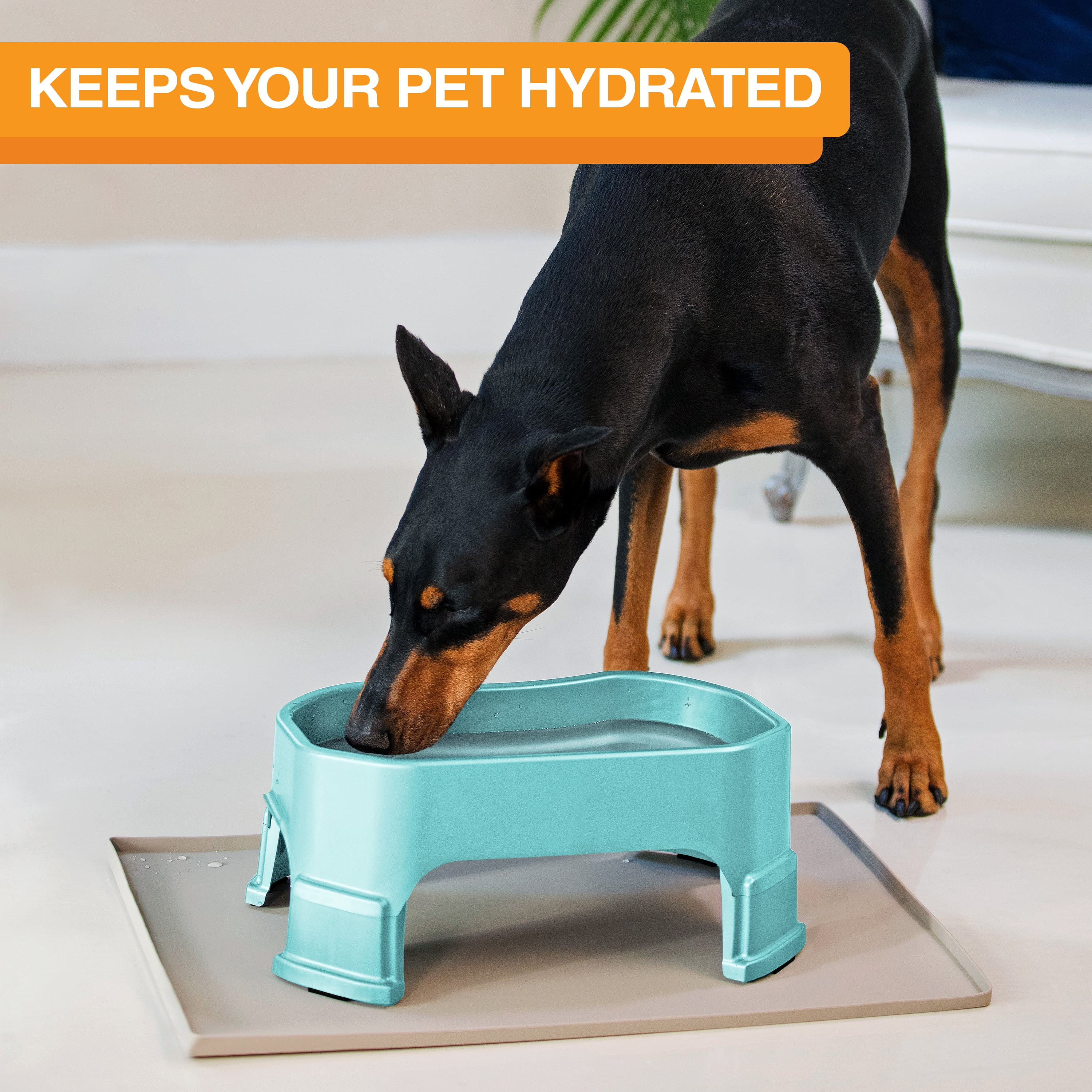 Neater Pets Big Bowl with Leg Extensions for Dogs - Raised for Feeding Comfort - Extra Large Plastic Trough Style Food or Water Bowl for Use Indoors or Outdoors, Aquamarine, 1.25 Gallon (160 Oz.)