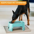 thumbnail image 5 of Neater Pets Big Bowl with Leg Extensions for Dogs - Raised for Feeding Comfort - Extra Large Plastic Trough Style Food or Water Bowl for Use Indoors or Outdoors, Aquamarine, 1.25 Gallon (160 Oz.), 5 of 12
