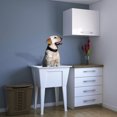 thumbnail image 1 of A&E Bath and Shower DALARY Utility Sink, 1 of 1