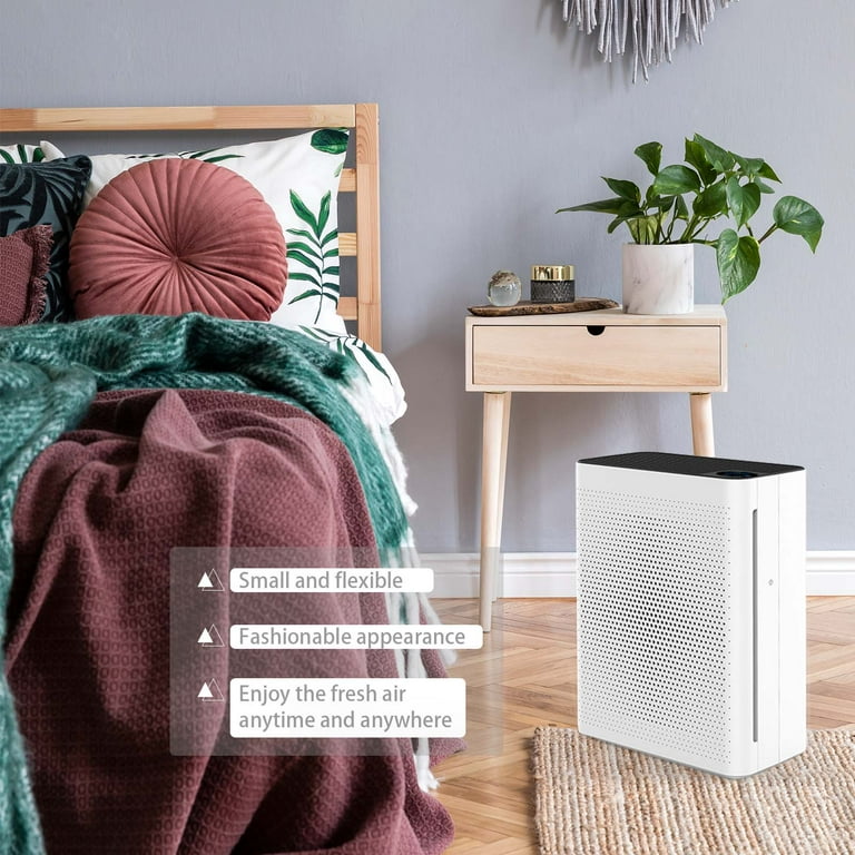 Air purifier deals with highest cadr