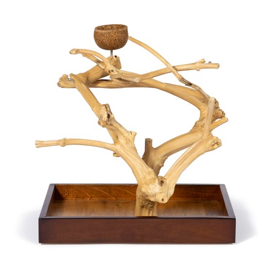 Prevue Pet Products Coffeawood Java Tree Mini Small Table Top Bird Play Stand Perch, Brown Natural 22633