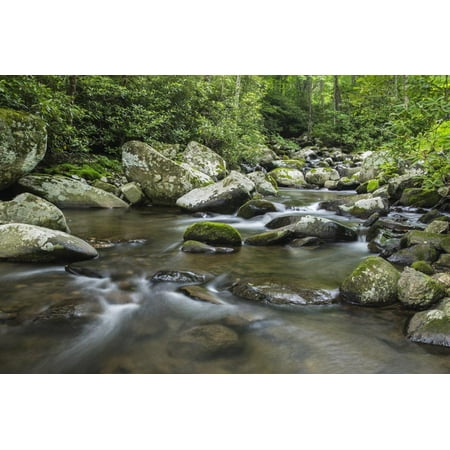 Wall Unites Mountain creek flowing through dense forest woods near the Appalachian Trail, North Carolina, Unite Print Wall Art By Jon Reaves ()
