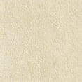 thumbnail image 2 of Welhome Microfiber Plush Bath Rug, 100% Microfiber DRYLON™, 2130 GSM, 1 Piece, TURTLE COMBE, 17"x24", 2 of 5